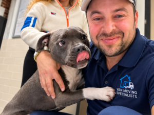 Van Moving Specialists helping with a pet during a house move in London
